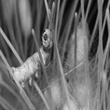 mitarbeiter1-crop-u13071 mitarbeiter1-crop-u13071