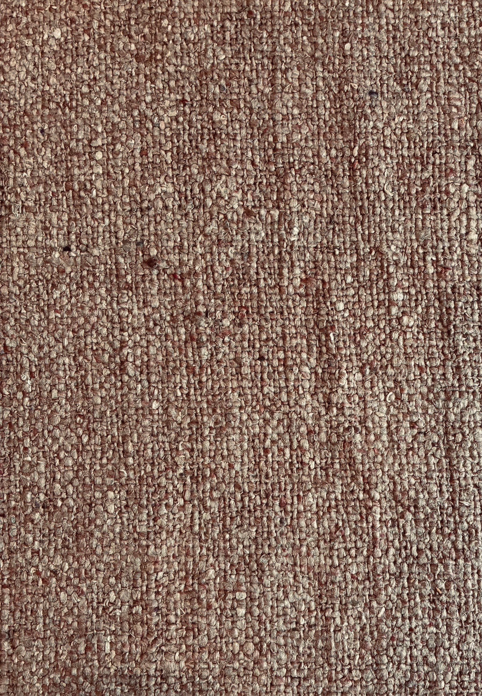 Mulika Alpaka – Bild 3